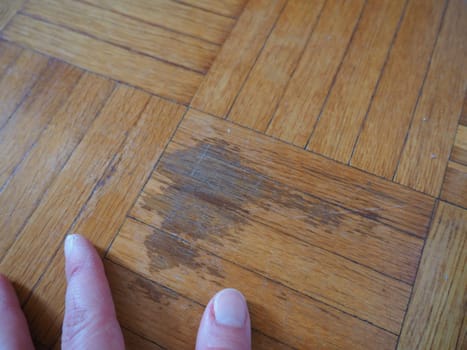 Scratched parquet flooring in the room. Scratches, chips and dents on the floor. Parquet in need of repair. The hand shows the size and length of the scratch on the parquet.