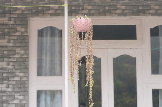 Light Hanging Lamp Planter with decorative flower in the house balcony