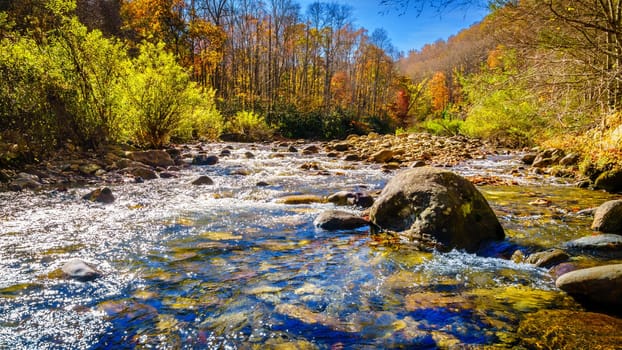 Fall scene by a creek in Pisgah National Forest in North Carolina