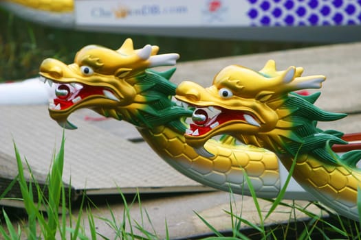 Dragon Boats resting before a race.