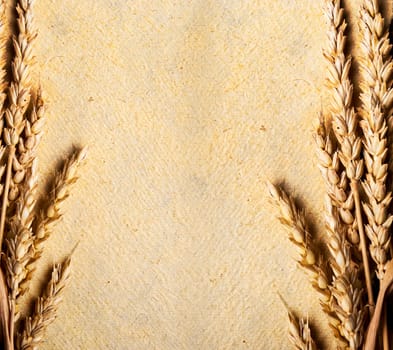 Wheat ears on vintage textured paper background. Whole wheat border from above.