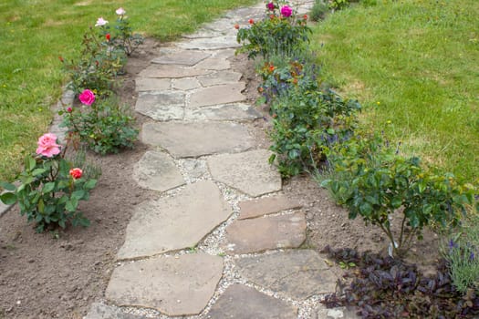 stone paved garden path and flowers - roses and lavender
