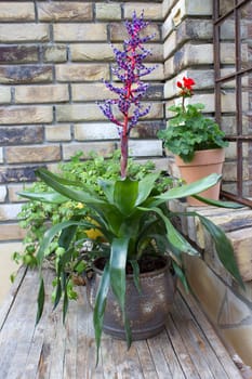 beautiful place in the garden in the mediterranean style, pots with plants on the table