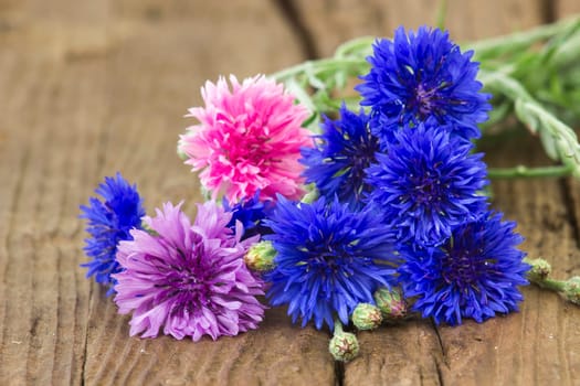 cornflowers on wooden background