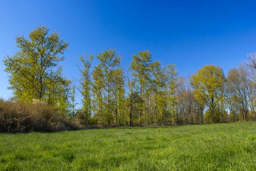 German countryside landscape, Lower Rhine Region, Germany