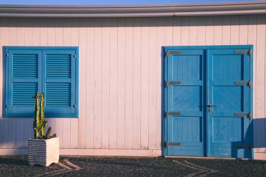 Blue door with cactus and the traditional white walls in the Procida Island, Italy