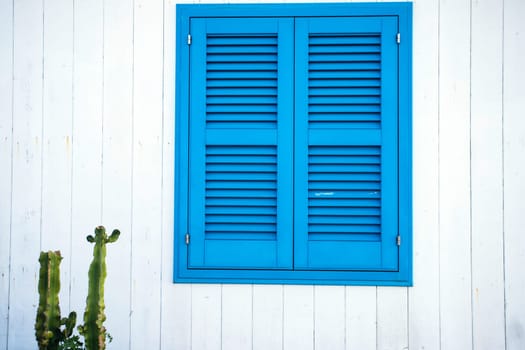 Blue door with cactus and the traditional white walls in the Procida Island, Italy