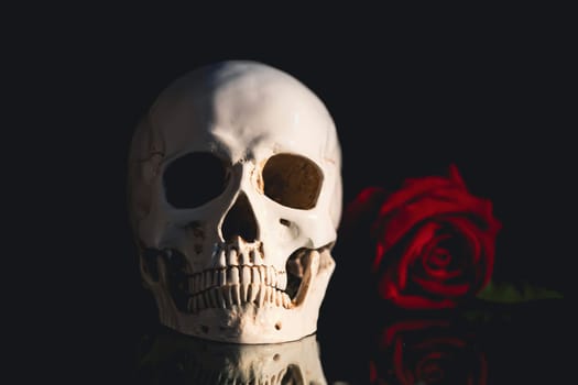 Skull with red rose. Calavera Catrina. Dia de los muertos. Day of The Dead.