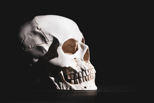 Spooky skull for Halloween. Horror wallpaper.