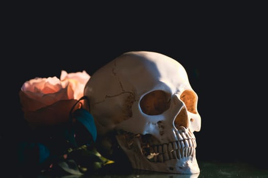 Skull with pastel pink rose flowers. Calavera Catrina. Dia de los muertos. Day of The Dead.