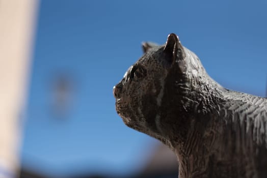 Statue of cat Murr at the statue of E.T.A. Hoffmann in Bamberg, Germany