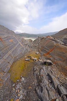 Glacially Scraped Rock on a Glacial Nunatak on the Grey Glacier in Patagonia in Torres Del Paine