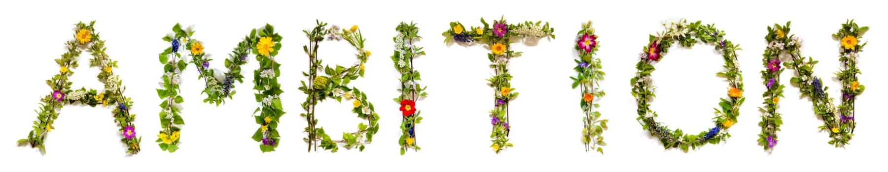 Blooming Flower Letters Building English Word Ambition. Summer And Spring Season Blossoms And Flower Lei.