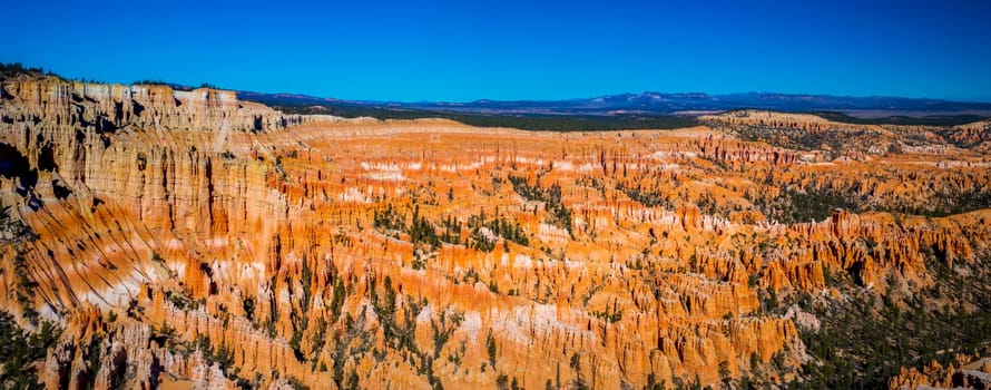 Panorama shot of the majestic nature of Bryce Canyon in Utah, USA. Beauty in nature.