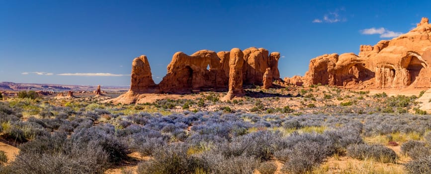 Colorful and vivid panorama landscape at Arches National Park in Utah, USA. Beauty in nature.