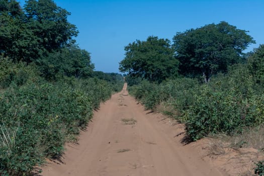 Sand road to Savuti Northern Gate from Kasane, Botswana.