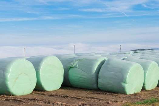 Hay bales wrapped in plastic on a farm