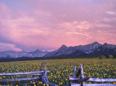 The Rocky Mountain near Ridgeway, Colorado, USA