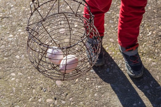 Child boy holds a rusty wire egg cup. Country style. Selective focus