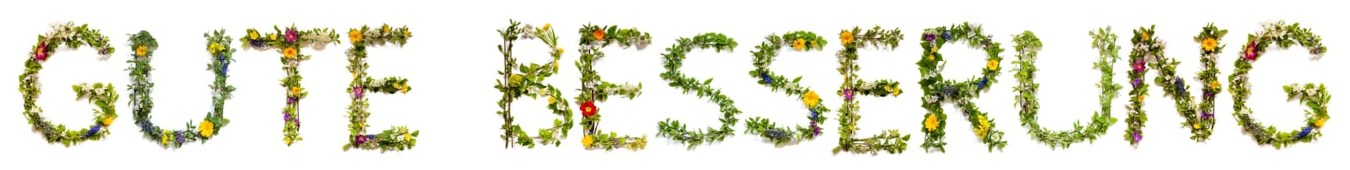 Blooming Flower Letters Building German Text Gute Besserung Means Get Well Soon Summer And Spring Season Blossoms And Flower Lei.