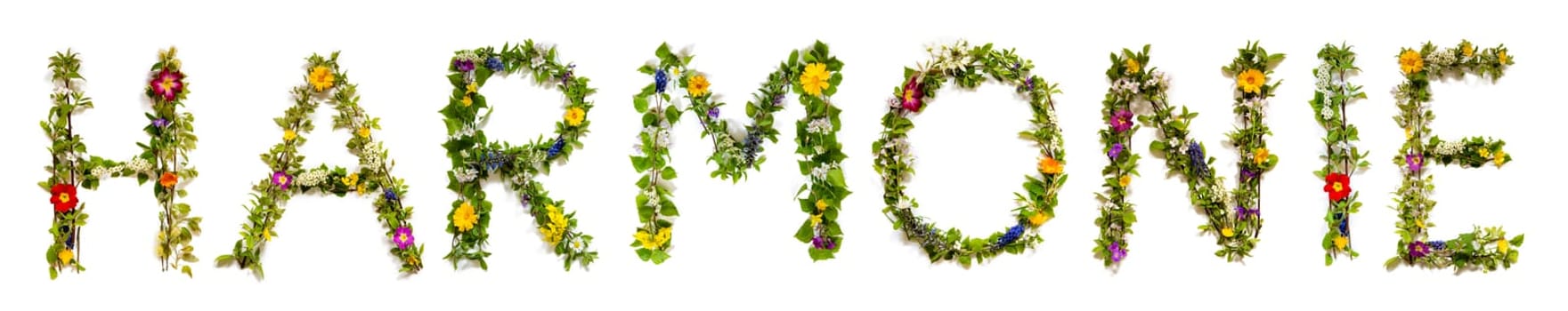 Blooming Flower Letters Building German Word Harmonie Means Harmony. Summer And Spring Season Blossoms And Flower Lei.