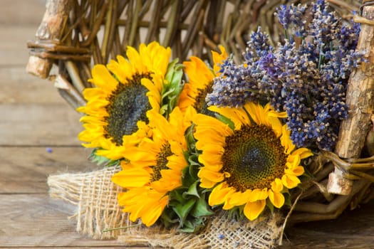 sunflowers and lavender in a basket on wooden background