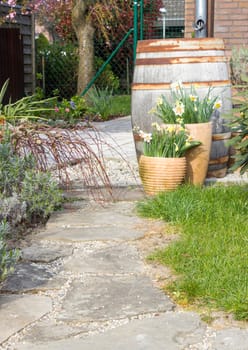 rustic garden -  blooming spring flowers