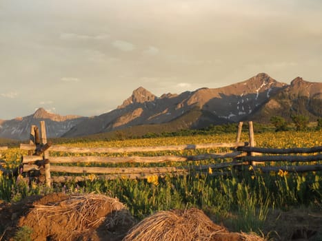 The Rocky Mountain near Ridgeway, Colorado, USA