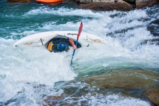 White water Kayaking down the Uncompahgre River in  the Ridgeway, Colorado.USA.