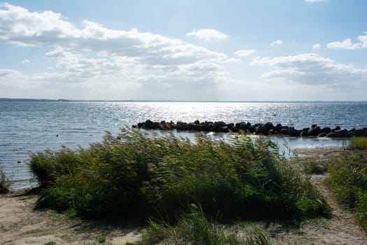 Breakwater made of large stones in the water and green grass on the Baltic Sea coast, with green grass on the beach on the island of Poel, Germany, Europe