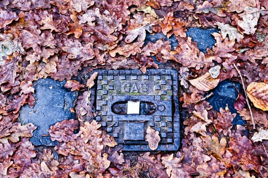 Metal lid with "GAS""letters inprinting , surrounded by leafs in a forest"