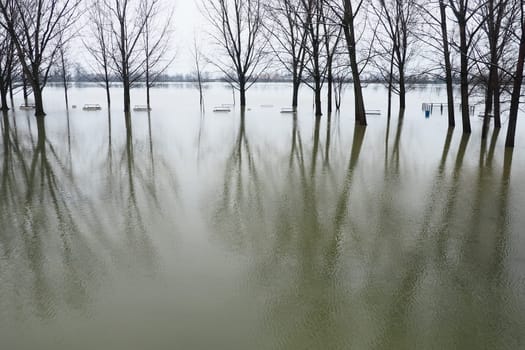 Sremska Mitrovica, Serbia 01.27.2023 Flooding on the Sava river. Deluge after rains and melting snow. Still muddy water on the beach. Reflection of tree trunks and branches in the water. Hydrology
