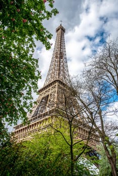 View of the Eiffel Tower in Summer, Paris, France