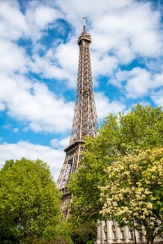 View of the Eiffel Tower in Summer, Paris, France