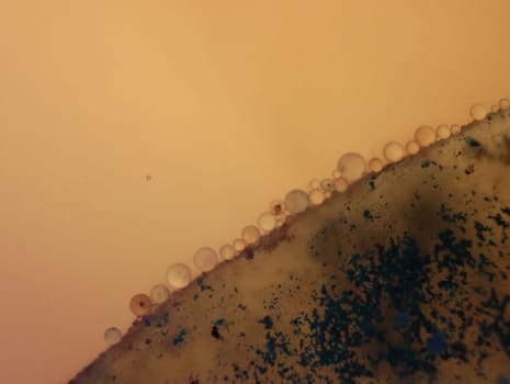 abstract background fantasy illusion rarity imagination virus bacteria sensation