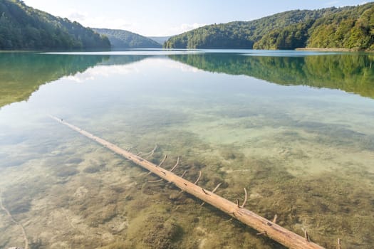 Plitvice lakes of Croatia - national park in autumn. tree at the bottom