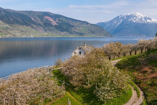 Landscape with mountains in Norwegian village. spring in Norwegian fjords