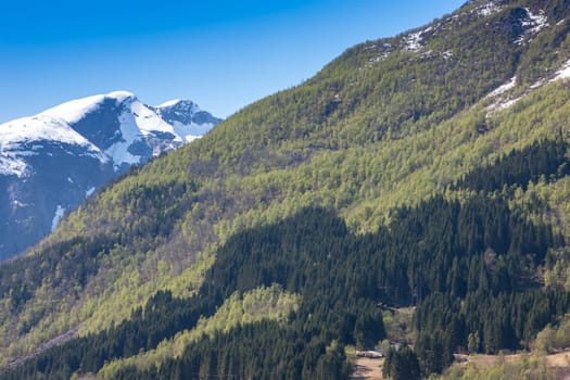 scenic landscapes of the northern Norwegian fjords.