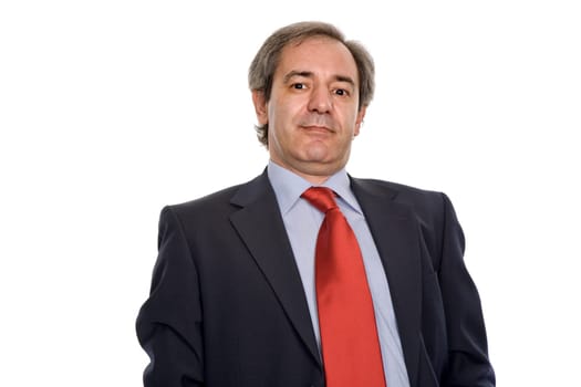 mature business man portrait in white background