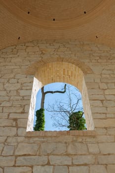 View of a tree through a wall opening