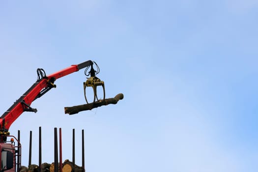 A truck with a crane arm loads tree trunks.