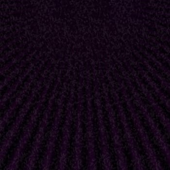 many stars