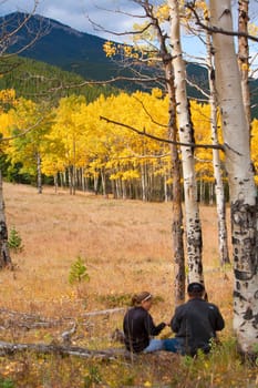 Golden aspens in Autumn in the Rocky Maountains of Colorado.