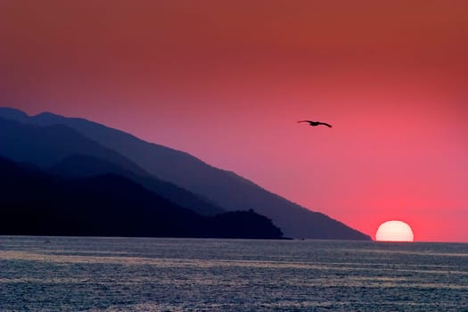 Banderas Bay near Puerto Vallareta, Mexico