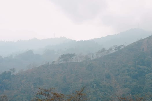 Foggy trees on a hazy mountain background in winter. Landscape view Tabakoshi Mirik West Bengal India