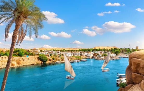 Aerial view on Aswan villages by the Nile behind the palm, Egypt.