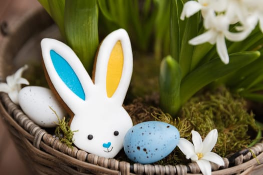 Easter bunny gingerbread cookie laying on the hyacinth flowerpot. Rabbit ears are colored with yellow blue as Ukraine flag. White and blue Easter eggs. White flowers close up. High quality photo
