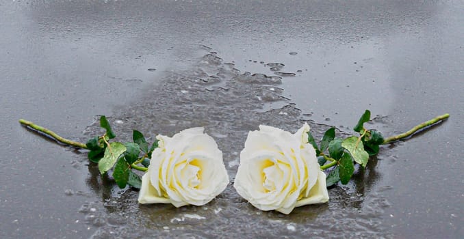 Two yellow roses laid on a grey stone on a frozen background to express mourning and remembrance with sufficient text space