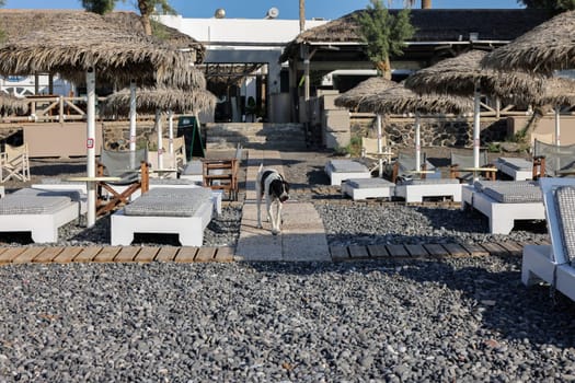Kamari, Santorini, Greece - July 3, 2021: Sun loungers on the black volcanic beach of Kamari in Santorini. Cyclades, Greece