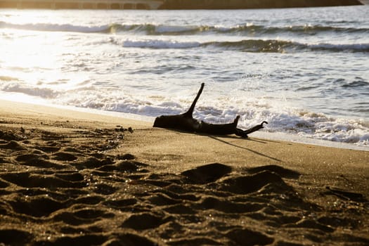 Panoramic beach landscape in magic sunset.